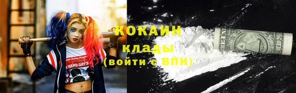 крисы Алексин