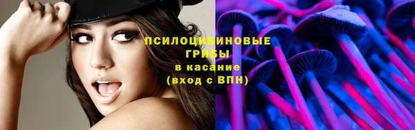 прущие грибы Алексеевка