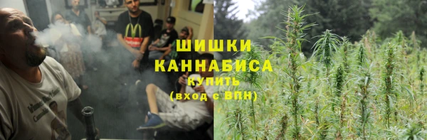 прущие грибы Алексеевка