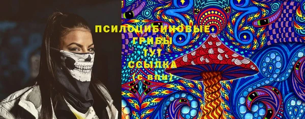 прущие грибы Алзамай
